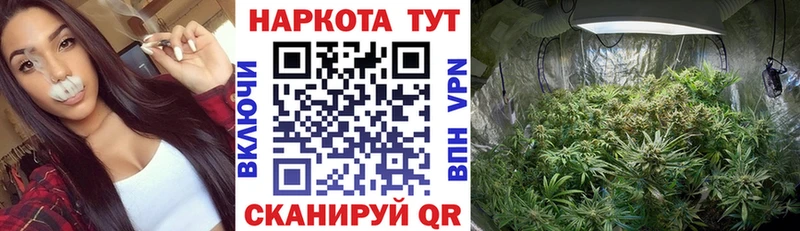 Купить наркотик Почеп Марихуана МЕФ А ПВП ГАШ