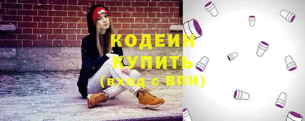 стаф Няндома