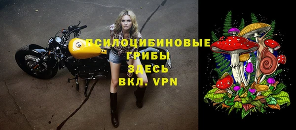 каннабис Новодвинск