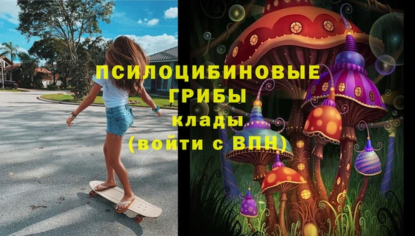 амф Новозыбков