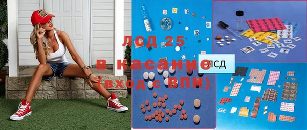 амф Новозыбков