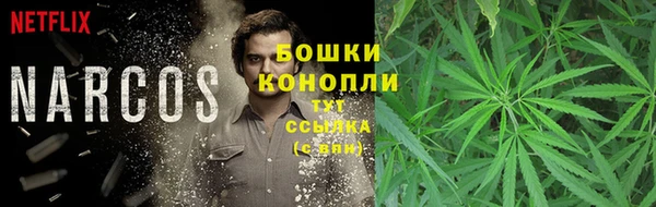 амф Новозыбков