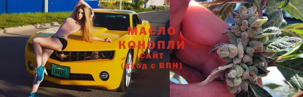 амф Новозыбков