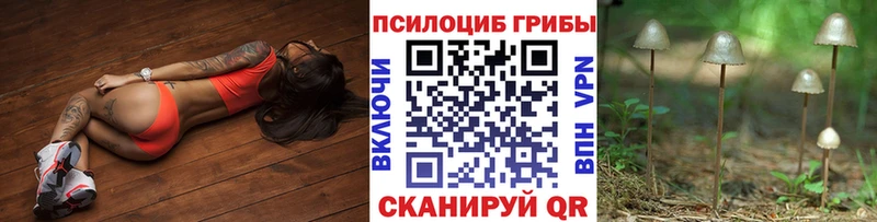 Галлюциногенные грибы Psilocybine cubensis где найти Почеп