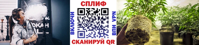 OMG tor  Почеп  Конопля Bruce Banner 